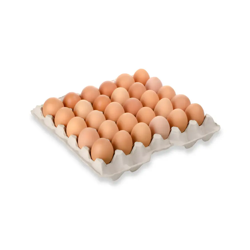 Carton De Huevos 30 Unidades